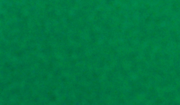 Foto Licht groen beurstajit effen folie 317gram/m² Rainb  3 x 50 mtrs 150m²/rol